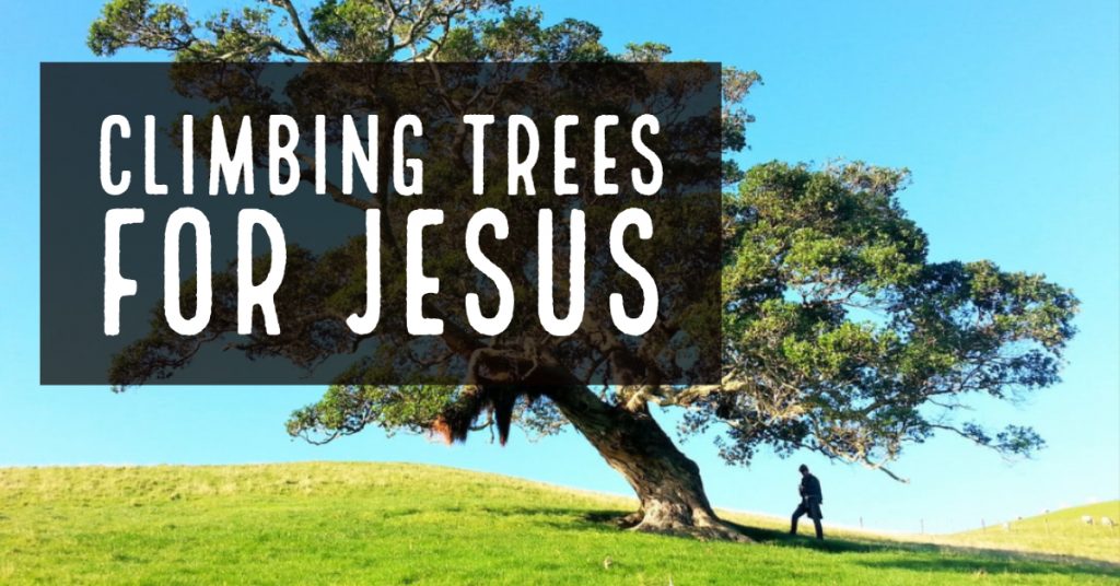 Climbing Trees For Jesus WCU Catholic Campus Ministry