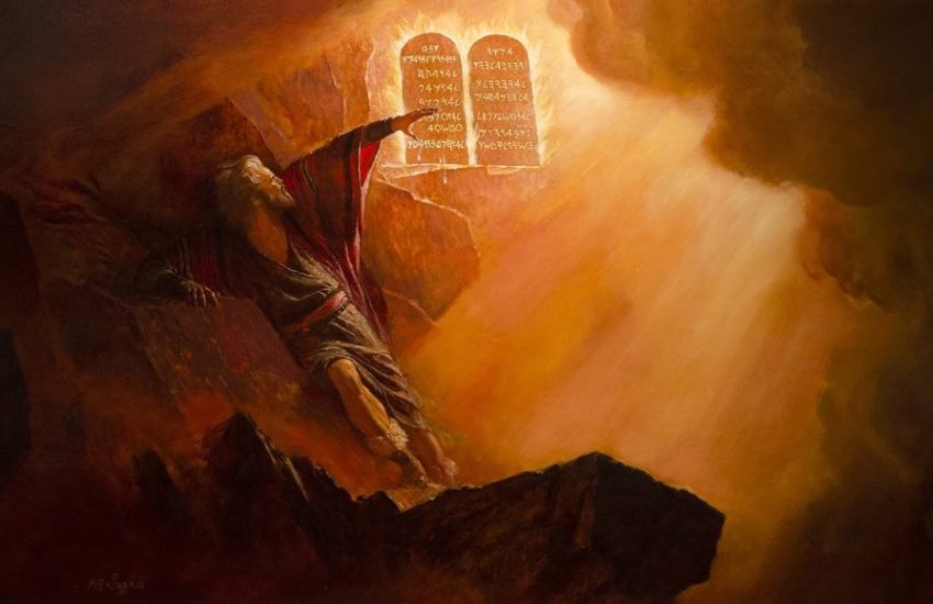 Climbing Trees For Jesus WCU Catholic Campus Ministry