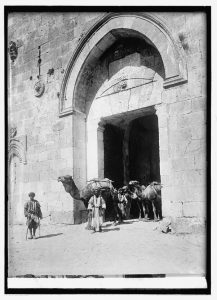 Camel outside the narrow gate to Jerusalem.