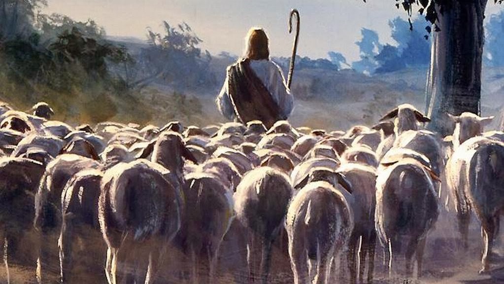 The Shepherd & the Gate